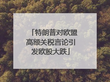 特朗普对欧盟高额关税言论引发欧股大跌
